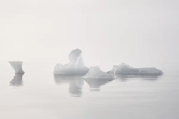 4 icebergs floating on calm water in bright fog. Easy for camera meter to be fooled and underexpose